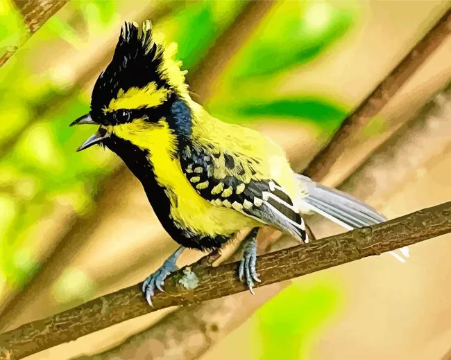 small Himalayan Black Lored bird Diamond Paintings Small Himalayan Black Lored Bird Diamond Painting