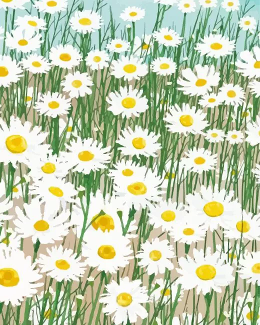 A Field of White Daisies art Diamond Paintings A Field Of White Daisies Art Diamond Painting