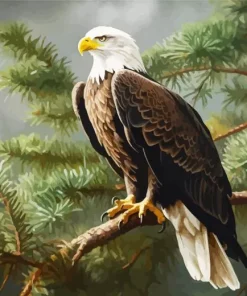 Bald Eagle On A Branch Diamond Painting
