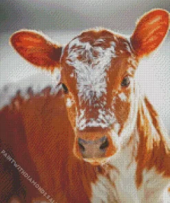 Baby Brown And White Cow Diamond Painting