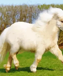 Blonde Pony Diamond Painting