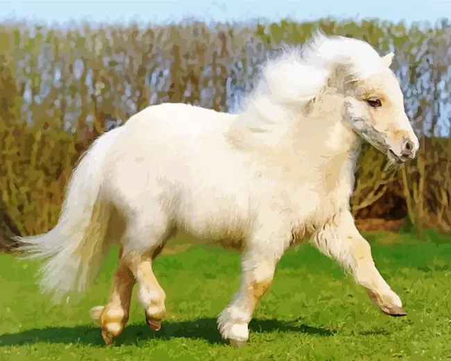 blonde pony Diamond Dotz Blonde Pony Diamond Painting