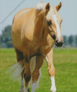 Blonde Stallion Horse Diamond Painting