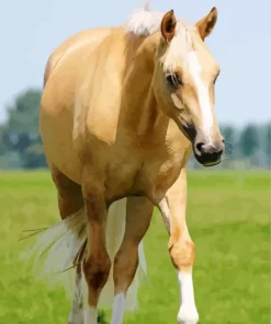 Blonde Stallion Horse Diamond Painting
