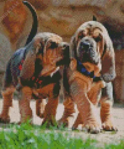 Bloodhound Puppies Diamond Painting