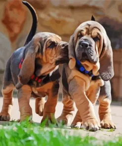 Bloodhound Puppies Diamond Painting