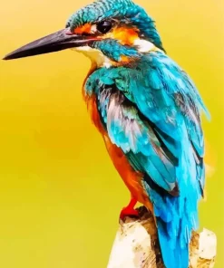 Blue Bird Diamond Painting