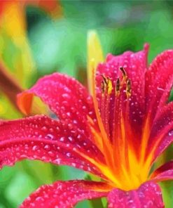 Daylily Blossom Diamond Painting