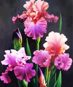 Iris Flowers Diamond Painting