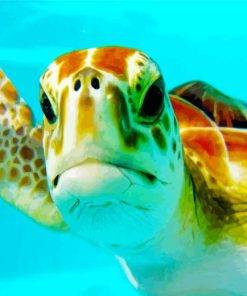 Mexican Turtle Diamond Painting