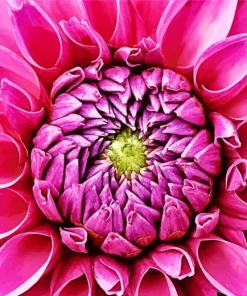 Pink Petaled Flowers Diamond Painting