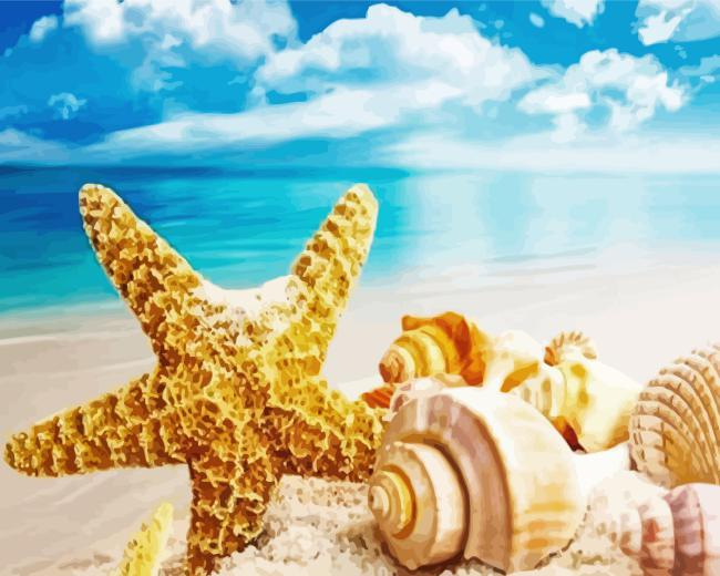 Sandy Shells Diamond By Numbers Sandy Shells Diamond Painting