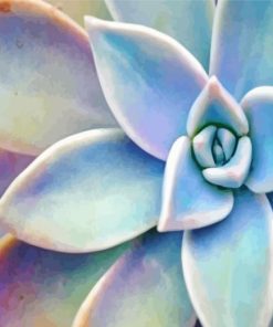 Succulent Flower Plant Diamond Painting