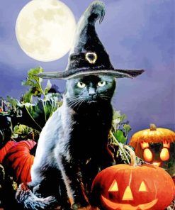 Witchy Black Halloween Cat Diamond Painting