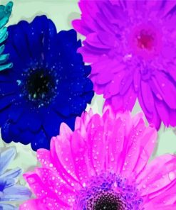 African Daisy Flowers Diamond Painting