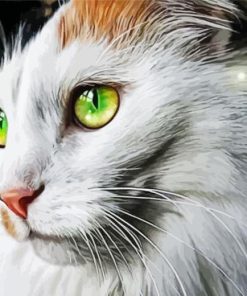 Green Eyed Cat Diamond Painting