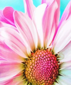 Pink Petals Flower Diamond Painting