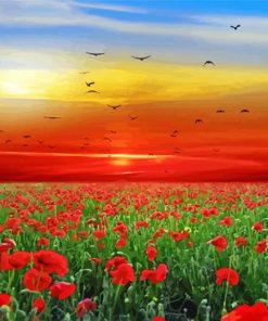 Red Poppies Field Sunset Diamond Painting